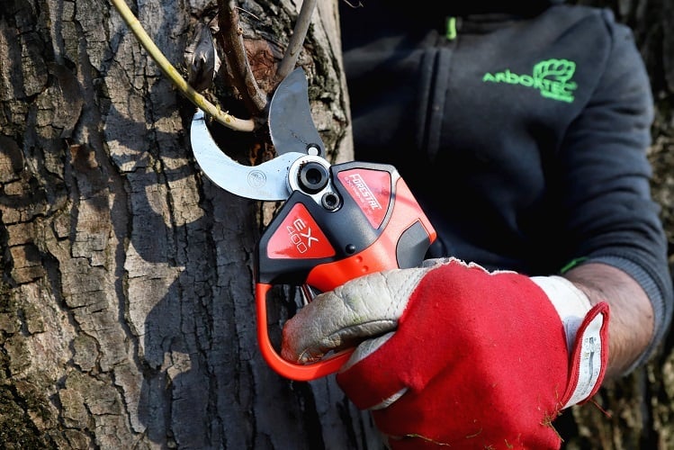 sabart forbici potatura forestal ex400