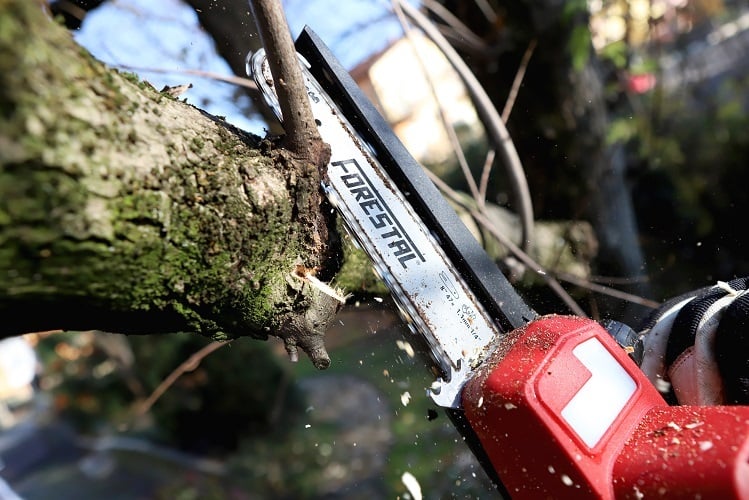 sabart potatore elettrico forestal