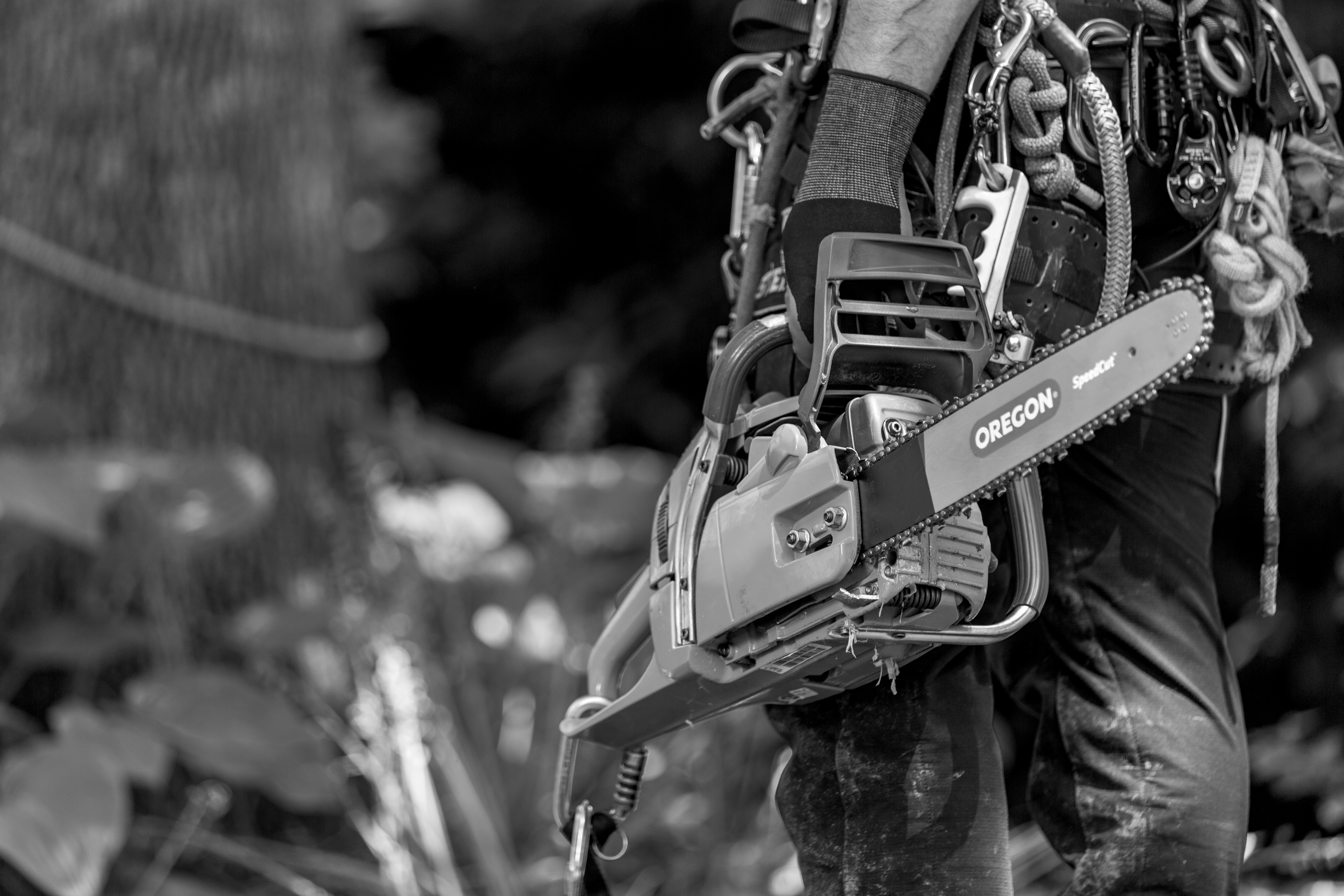 Arborist_action_motosega - saabrt