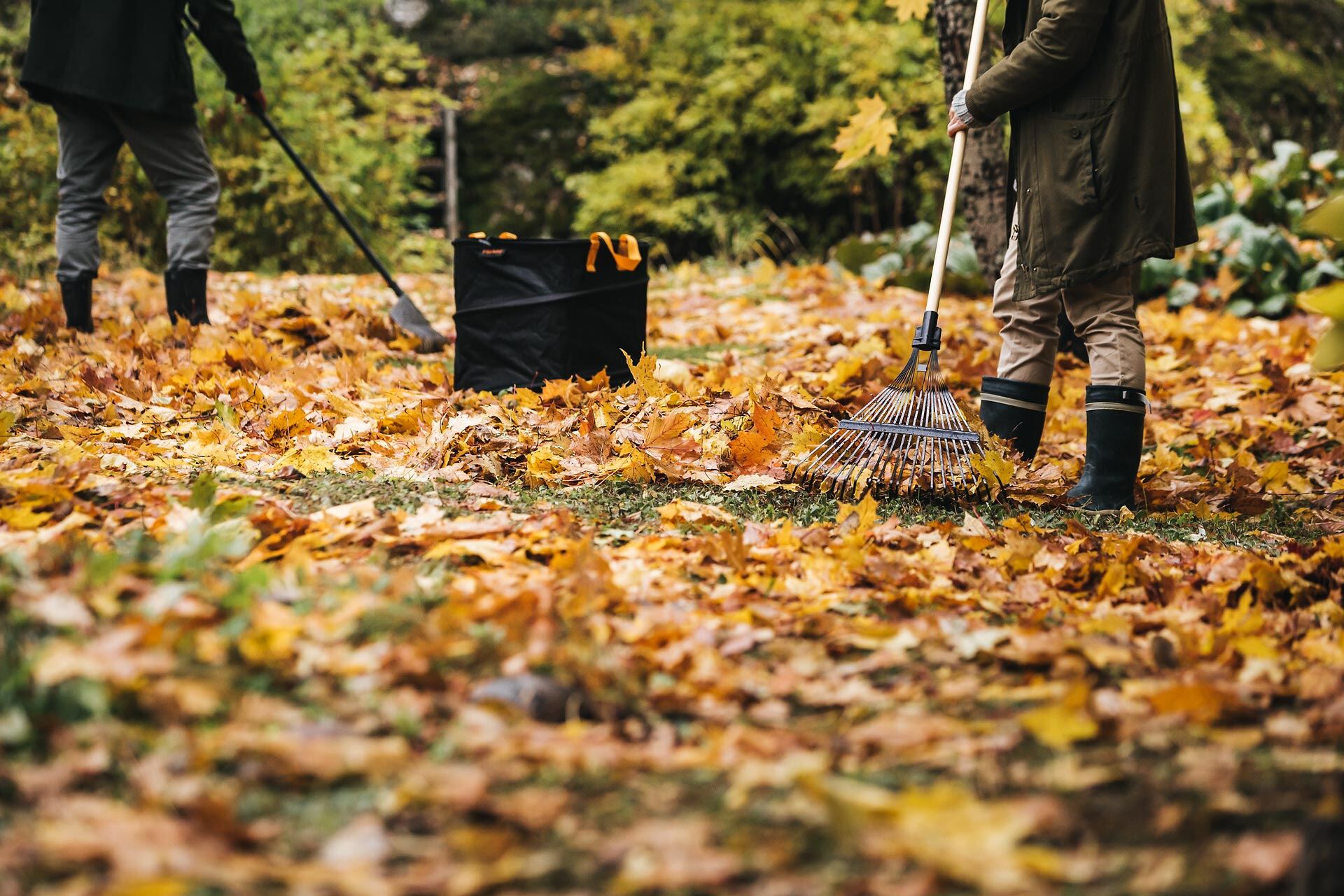 Prepara il giardino per l'inverno| Sabart