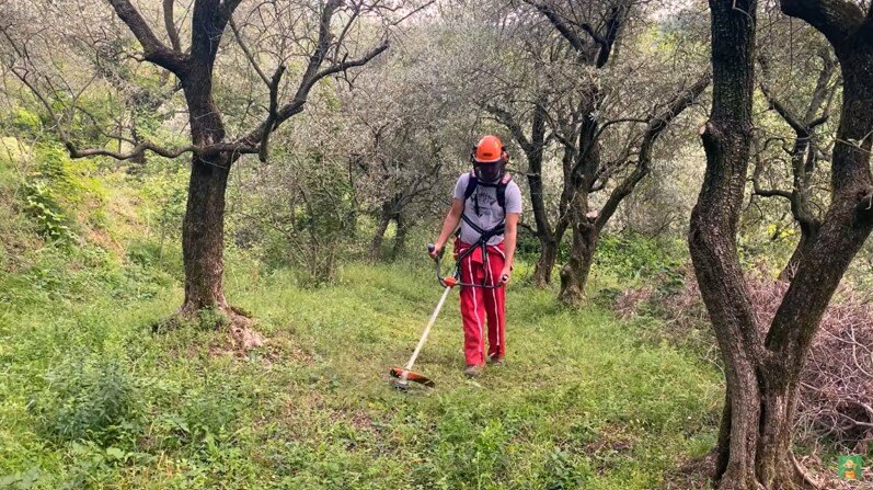 miscela sbagliata