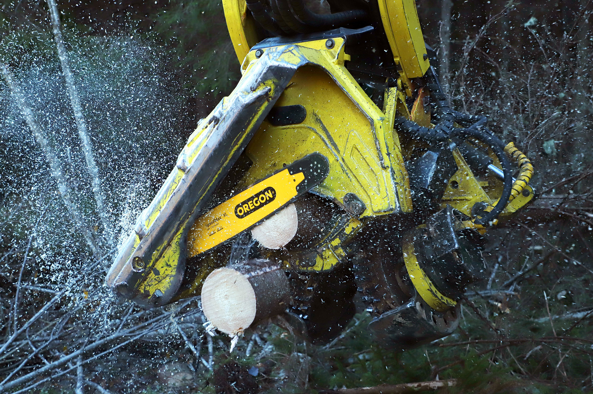 OREGON HARVESTER