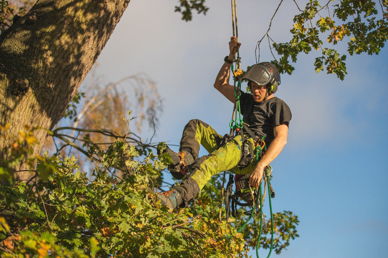 abbigliamento forestale arbortec tree climber - sabart