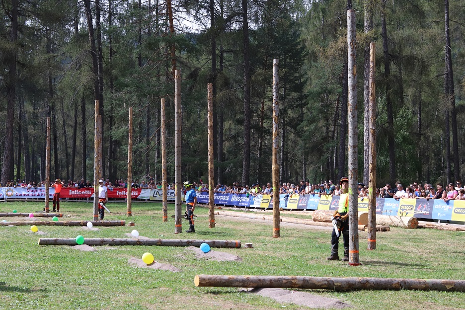 Festa del Boscaiolo e delle Foreste 2024